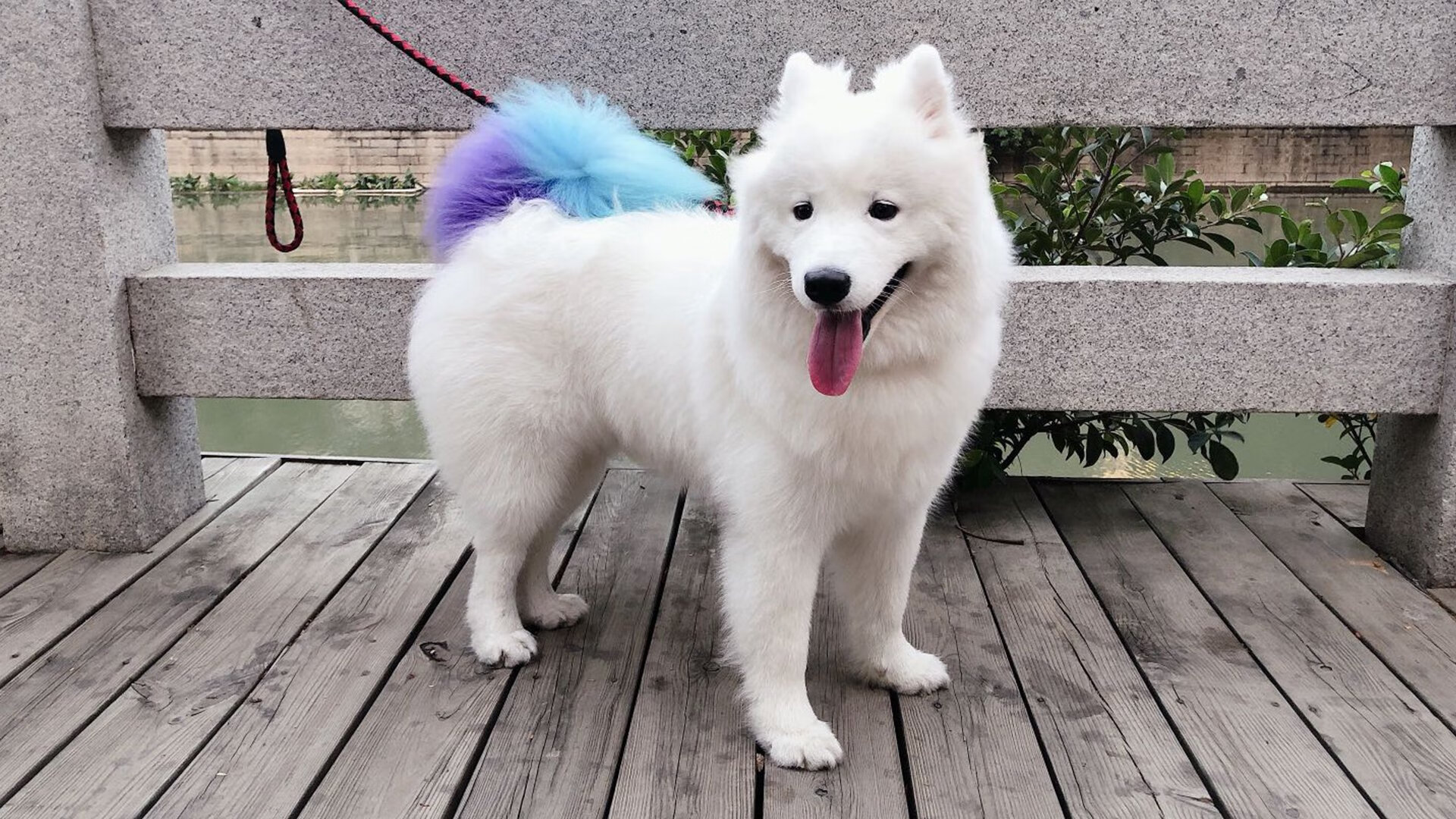 5G加持:赛场瞬时通信革命,5g通信大会