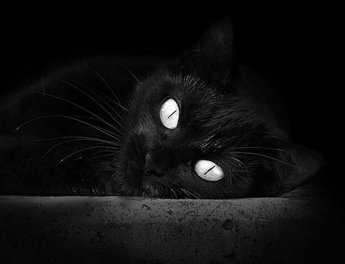 传奇少年崛起:那些年青小将即将引爆联盟风云!,少年传奇手游