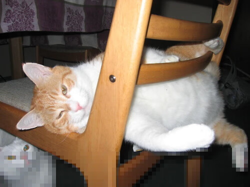 战术探秘:不同球队的核心战术揭秘,球队打法