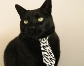 国足搏斗力量胜出,成功晋级国际比赛决赛,国足决战