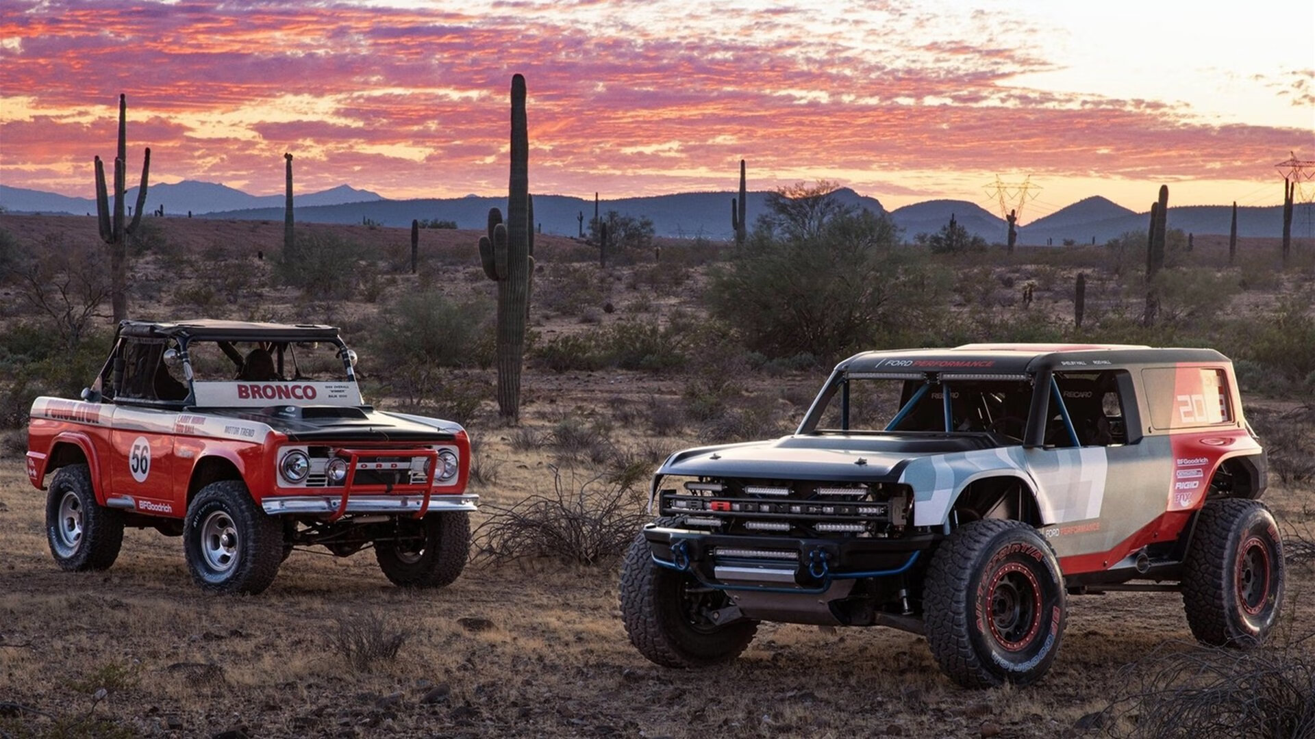 女足比赛冠军产生,球迷狂欢庆祝,女足辉煌