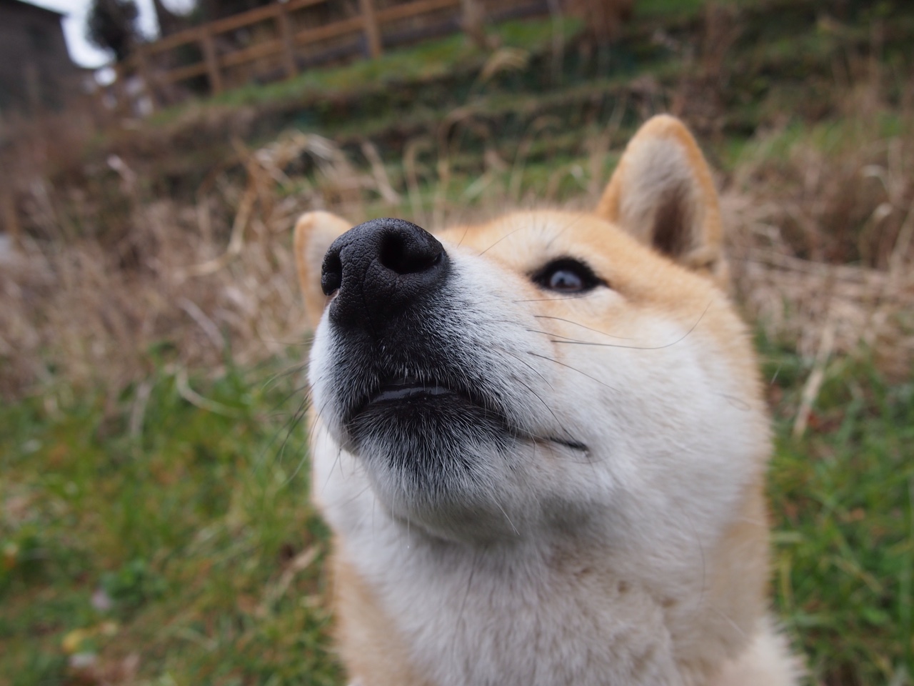巴特勒再发力热火主场连胜,巴特勒多少钱签约热火