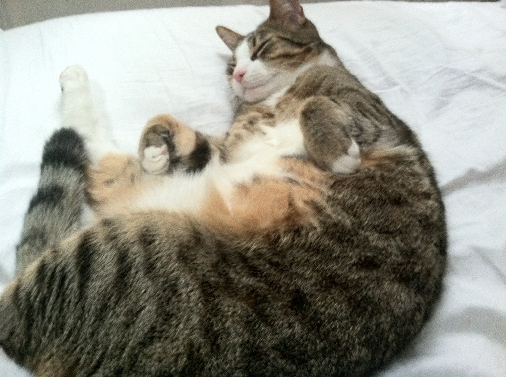 巴萨客场1-1战平塞尔塔,积分榜领先优势扩大,巴萨对塞尔塔视频录像