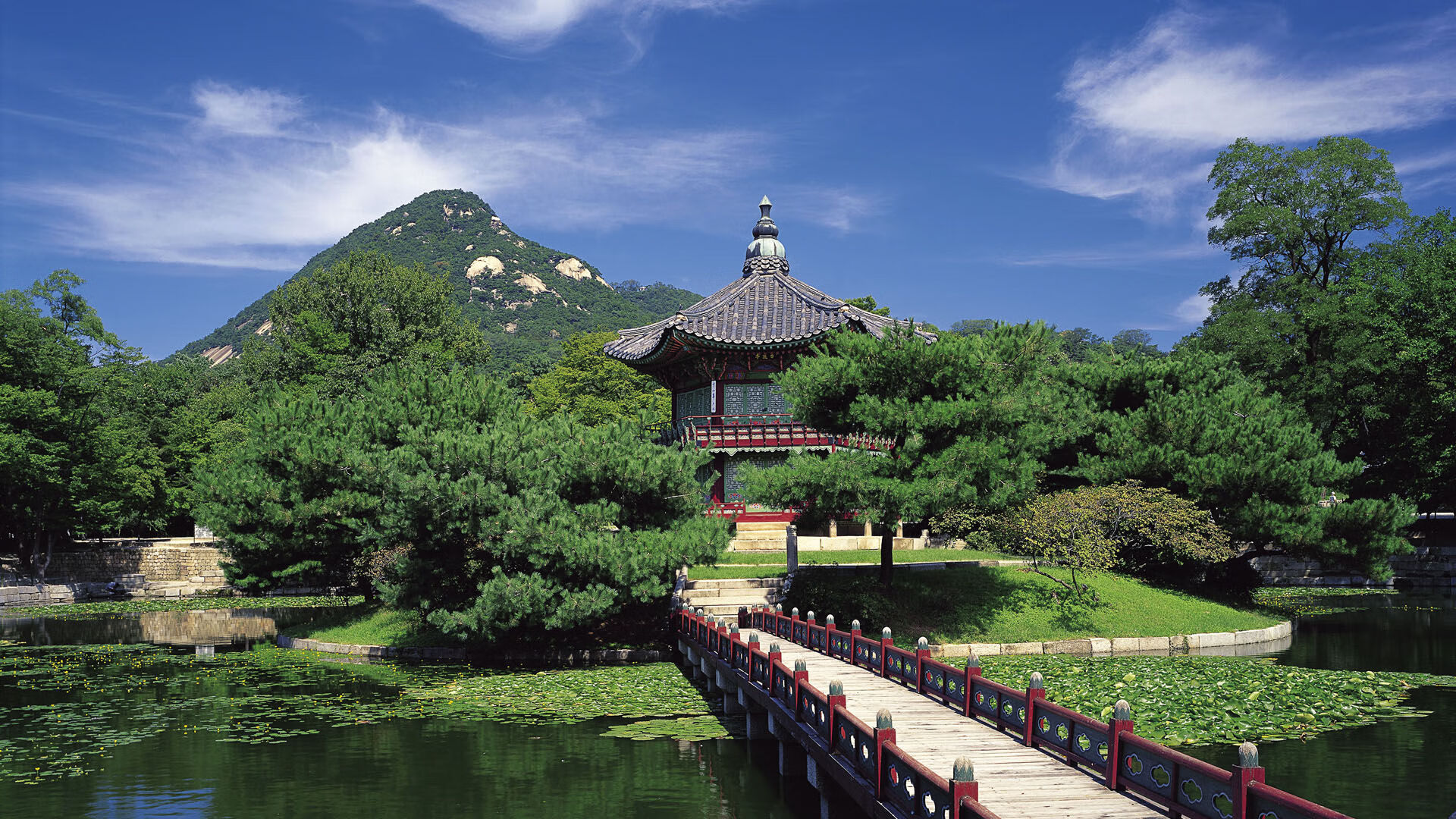 突尼斯联赛关键比赛精彩纷呈，突尼斯怎么样