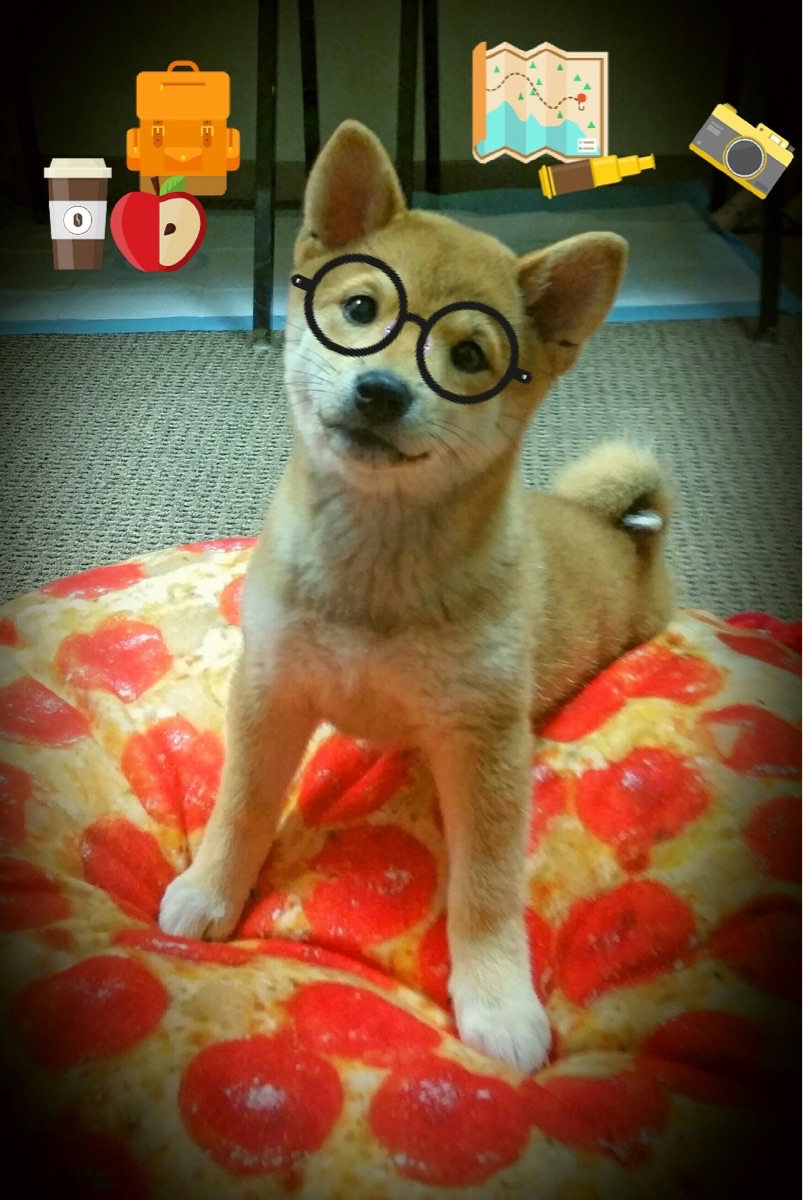 西班牙前锋状态快速提升,备战瑞士队,西班牙前锋太差