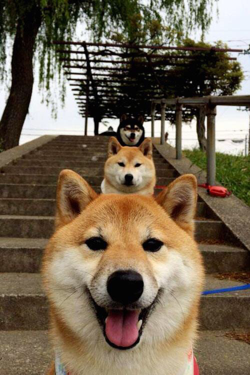 阿根廷客场3-0战胜玻利维亚,梅西轮休,冈萨雷斯破门,阿根廷0_2