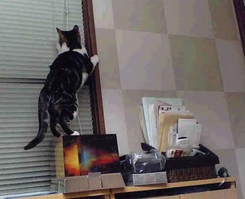 阿根廷客场3-0战胜玻利维亚,梅西轮休,冈萨雷斯破门,阿根廷0_2