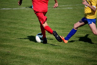 kaiyun登录入口-世界台球联赛中国队勇夺团体亚军，世界台球联赛中国队勇夺团体亚军是谁