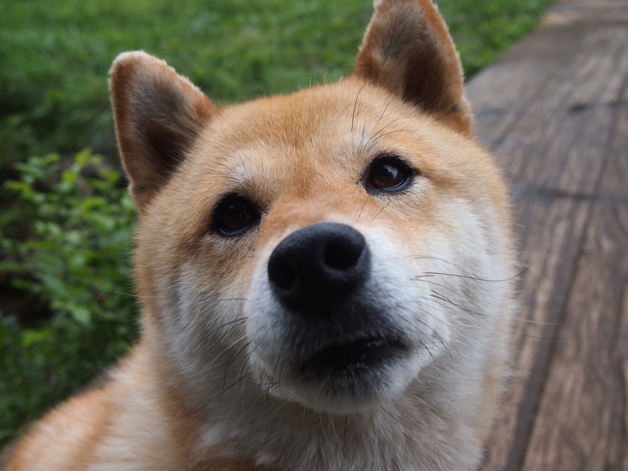 “东部新区定向越野赛：徒步与智慧并肩作战”