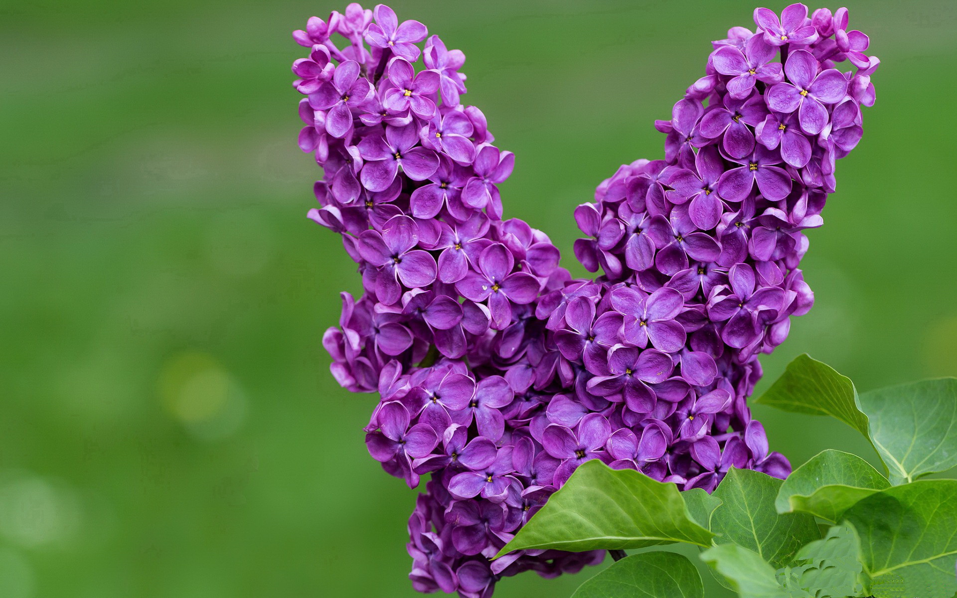 kaiyun网站-中国女篮逆转取胜 展现坚韧精神，看看中国女篮