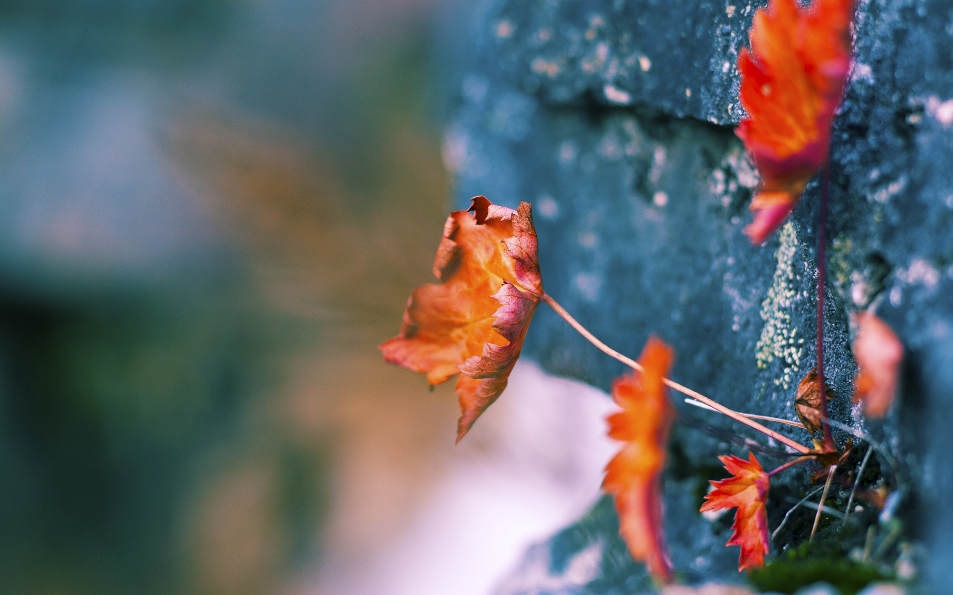 kaiyun网站-埃及赛制解析：如何通过优化赛制提升运动员水平，埃及乙组比赛