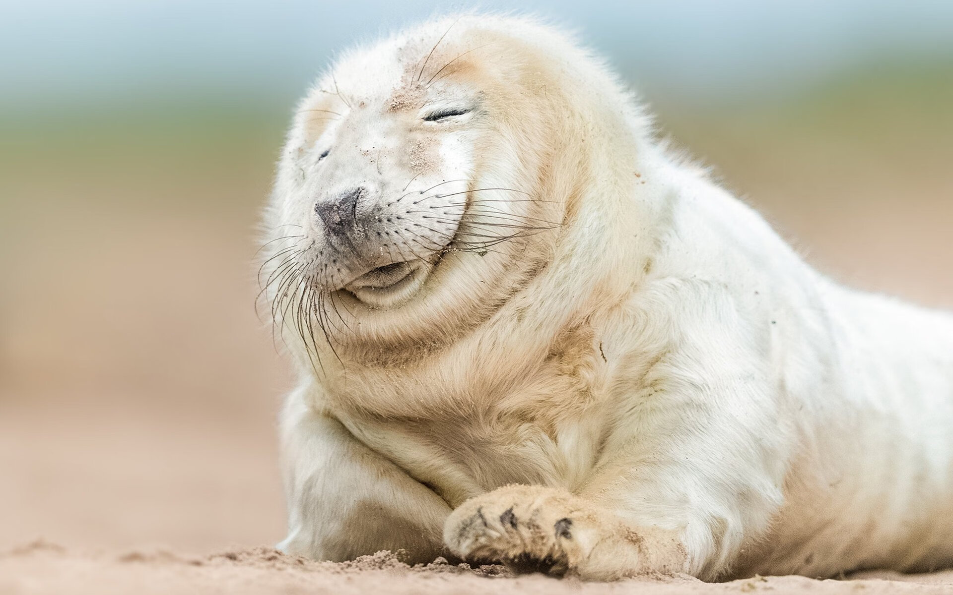 开云体育APP下载-拜仁二次进攻组织效率极高，拜仁两次犯错