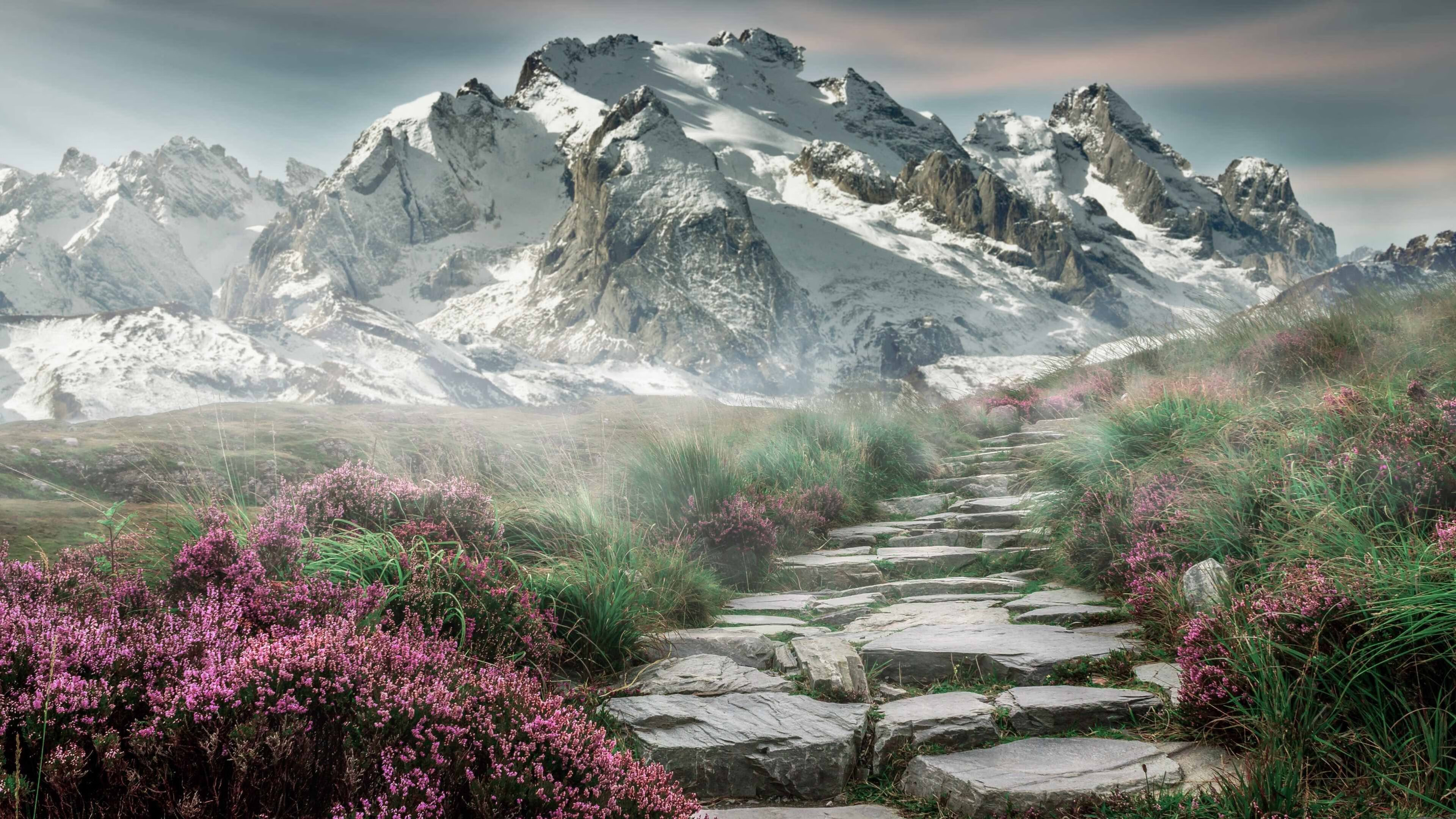 仰泳选手状态正佳助比利时夺分,仰泳决赛什么一战