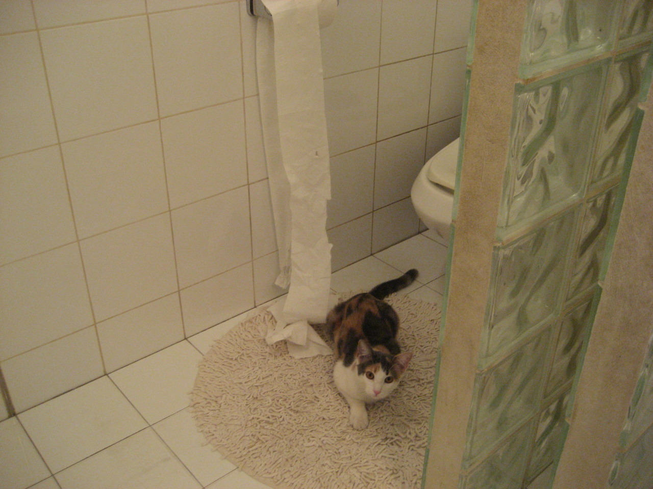 水球比赛比利时女队配合默契,女子水球小组赛中国6比7美国