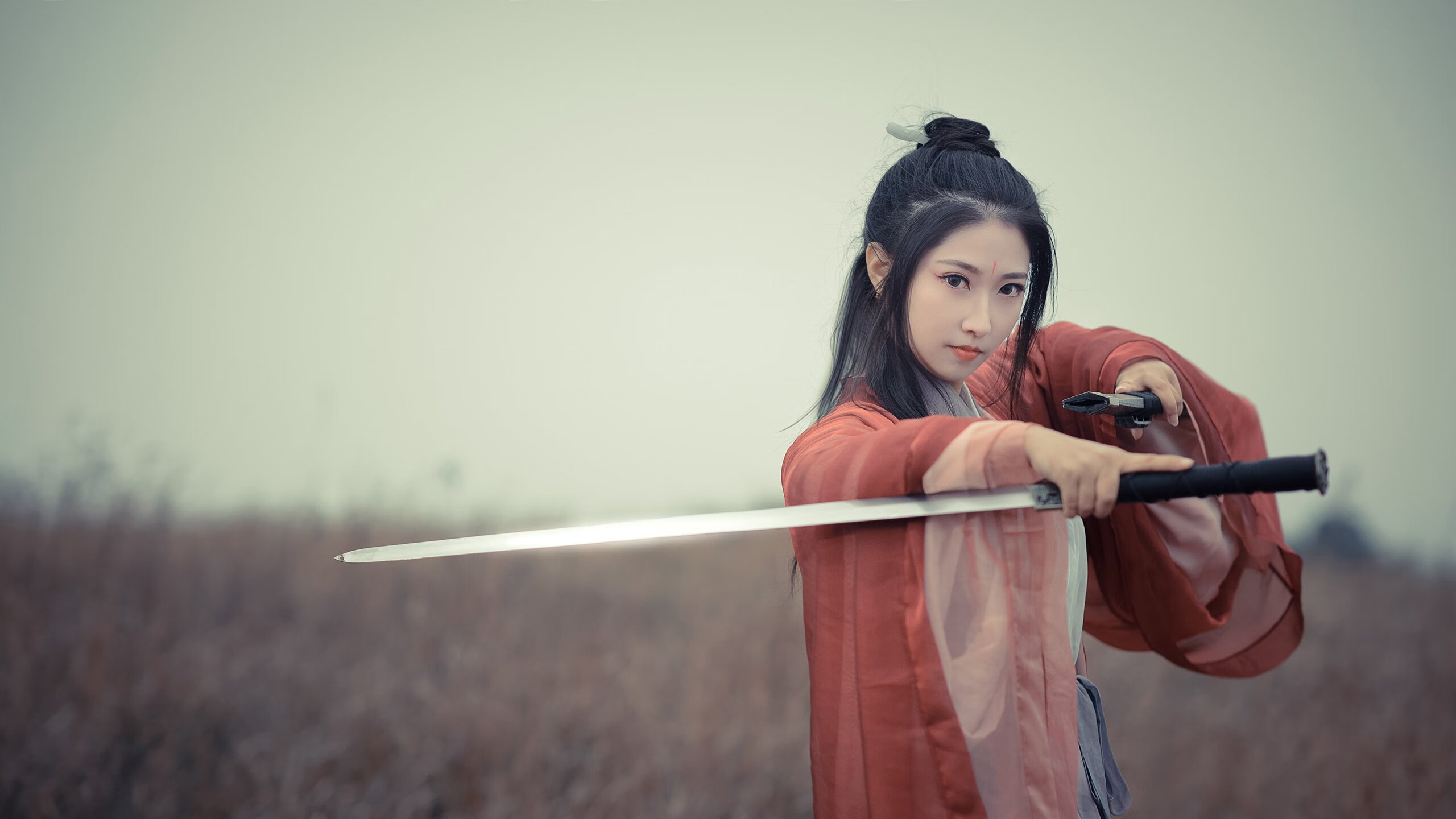 荷兰队在欧洲预选赛中突出表现，晋级希望大增