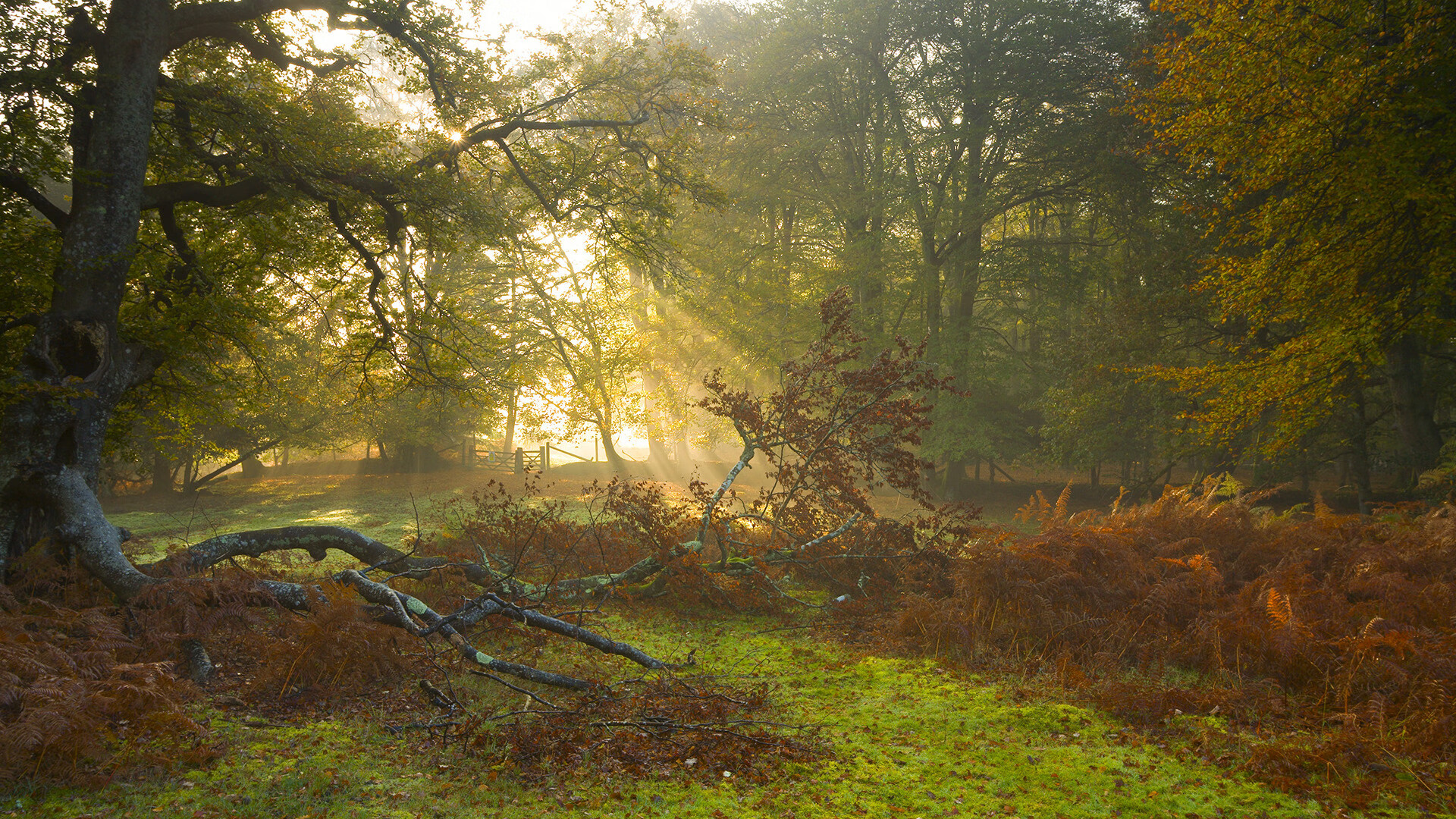 青少年足球教练员培训体系不断完善，提高教学水平，青少年足球培训内容